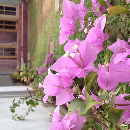 Manik Home Stay Kudapaduwa Экстерьер фото