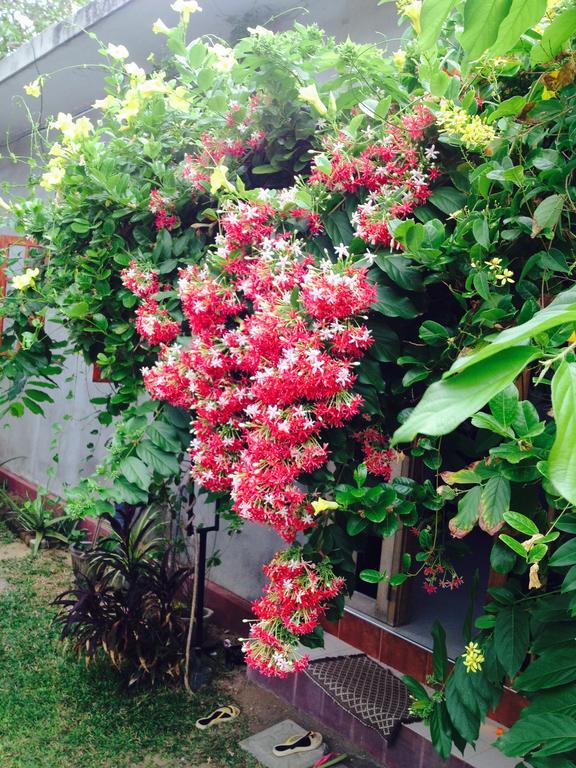 Manik Home Stay Kudapaduwa Экстерьер фото